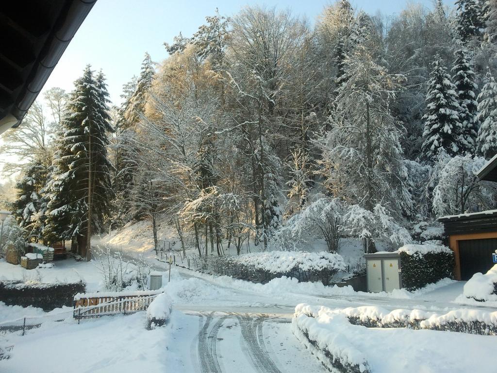 Ferienwohnung Waldblick Bad Wildbad Cameră foto