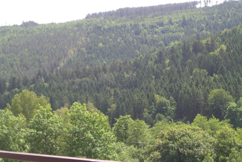 Ferienwohnung Waldblick Bad Wildbad Cameră foto